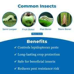 Tata Rallis Takumi Flubendiamide 20% WDG, Recommended For Heliothis In Cotton and Rice Stem Borer. 3