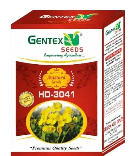 Gentex Hybrid HD-3041 Mustard Seeds, Saron Ke Beej, High Yielding and Good Oil Percentage Product - Image 1
