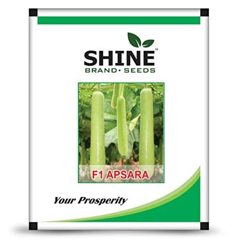 Shine Apsara F1 Hybrid Bottle Gourd Seeds, Shine Brand Seeds, Lauki Ka Beej, Vegetable Seeds - Image 1