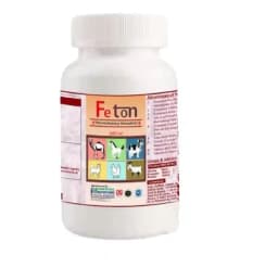 Feton Iron Tonic & Immunity Booster for Cow, Buffalo, Camel, Horse, Calf & Heifer, Goat & Sheep, Swine, Animal Feed Supplements 4