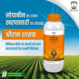 Shriram Shaasak Sodium Acifluorfen 16.5% + Clodinafop Propargyl 8% EC Herbicide, Post Emergent, Weeds Control In Crops 2