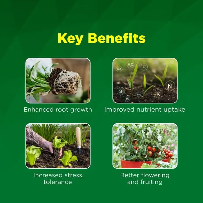 Titan Agritech Sonja Gold Seaweed Extract Liquid 30% Biostimulant, Boosts Root System And Nutrient Mobility - Image 6