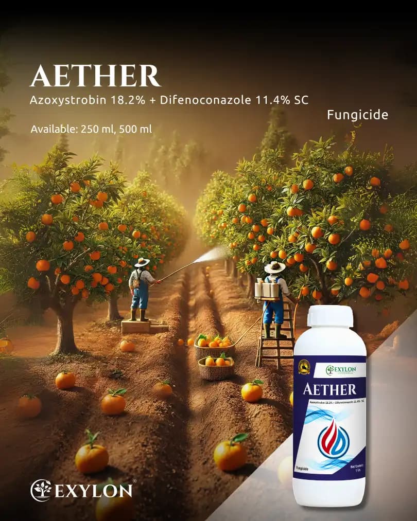 Exylon Aether Azoxystrobin 18.2% + Difenoconazole 11.4% SC Fungicide, Dual-Action, Disease Control In Crops - Image 2