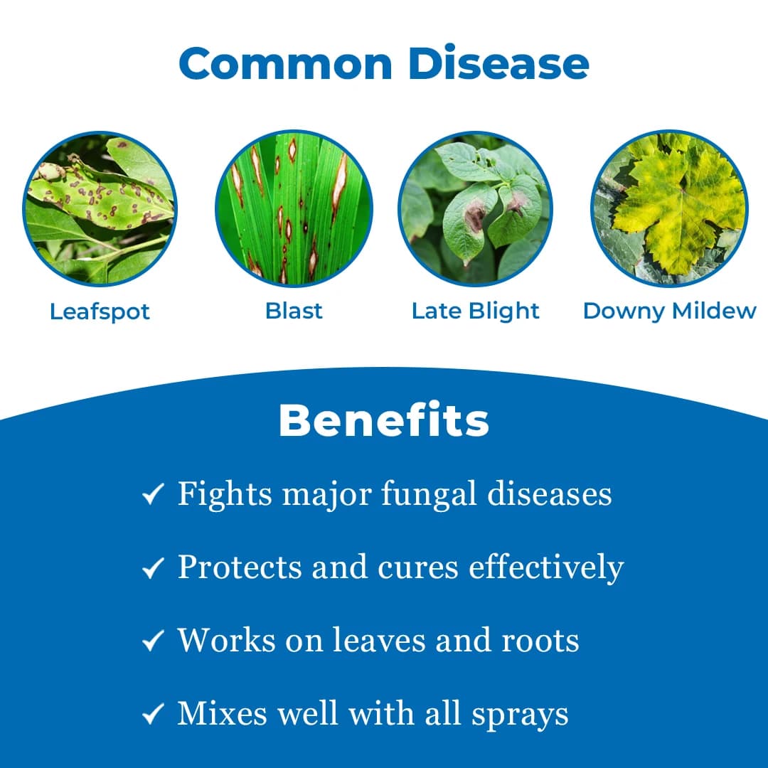 SOFT - Carbendazim 12% + Mancozeb 63% WP Fungicide, Use Against Blast, Leaf Spot , Collar Rot, Root Rot, Early And Late Blight, Blister Blight - Image 3