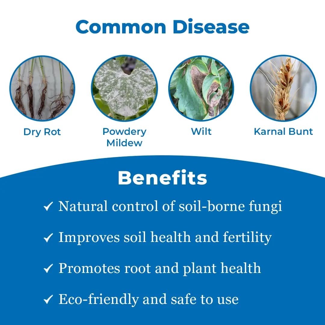ईबीएस ट्राइकोडर्मा हरजियानम लिक्विड बायो फफूंदनाशक, सह निमेटोसाइड के रूप में उपयोग किया जाता है। - Image 3