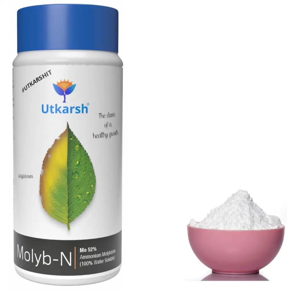 Utkarsh Molyb-N (Mo 52% Ammonium Molybdate) (100% Water Soluble Fertilizer), Improves Overall Plant Nutrition & Growth. - Image 4