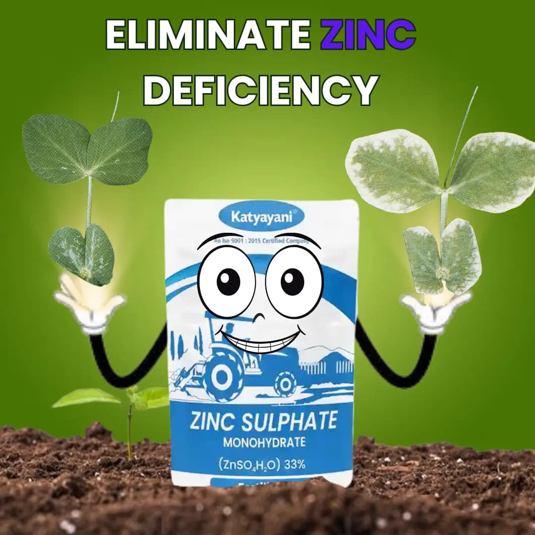 Katyayani Zinc Sulphate Monohydrate 33% Fertilizer Enhances Plant Growth and Development - Image 2