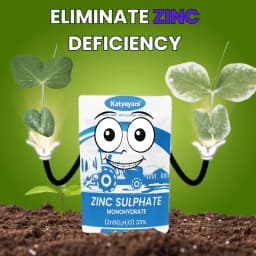 Katyayani Zinc Sulphate Monohydrate 33% Fertilizer Enhances Plant Growth and Development 2