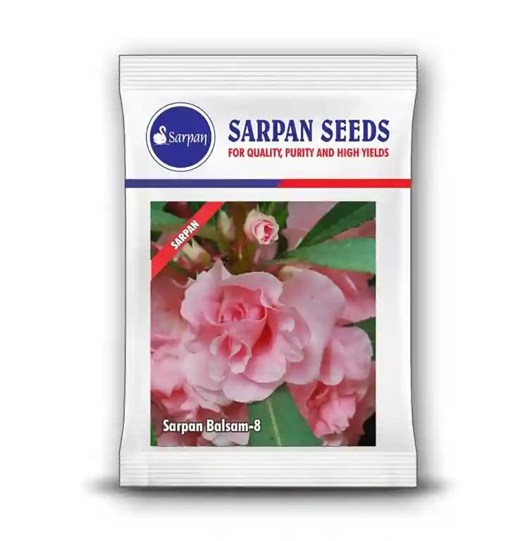 Sarpan Balsam-8 Flower Seed, Light pink flowers, Excellent for bedding and potting