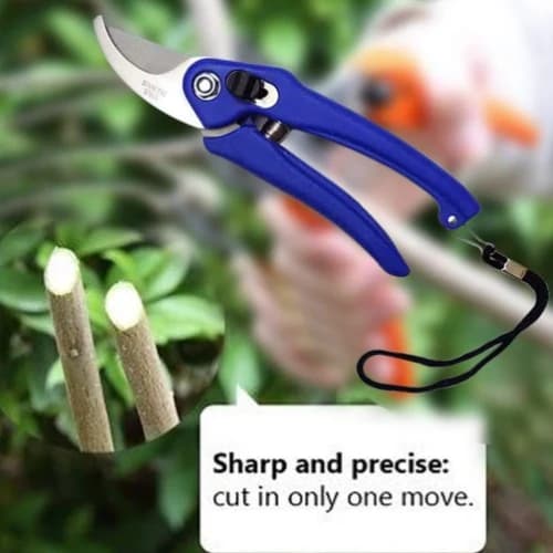 Stainless Steel Garden Scissors, Flower Cutter With Soft Grip Handle For Pruning, Trimming & Gardening - Image 8