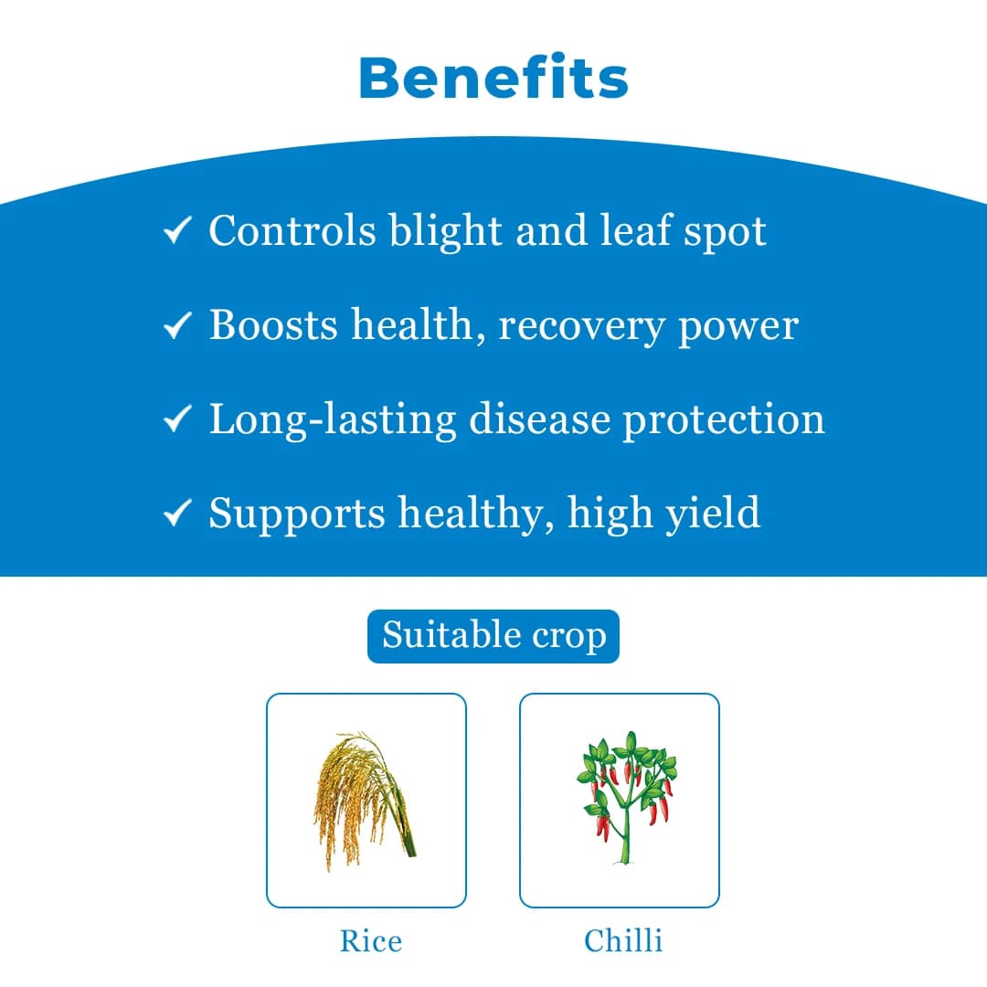 Dhanuka KASU-B Kasugamycin 3% SL Fungicide, Broad Spectrum, Effective For Fungal And Bacterial Diseases Control In Multiple Crop - Image 4