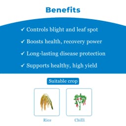 Dhanuka KASU-B Kasugamycin 3% SL Fungicide, Broad Spectrum, Effective For Fungal And Bacterial Diseases Control In Multiple Crop 4