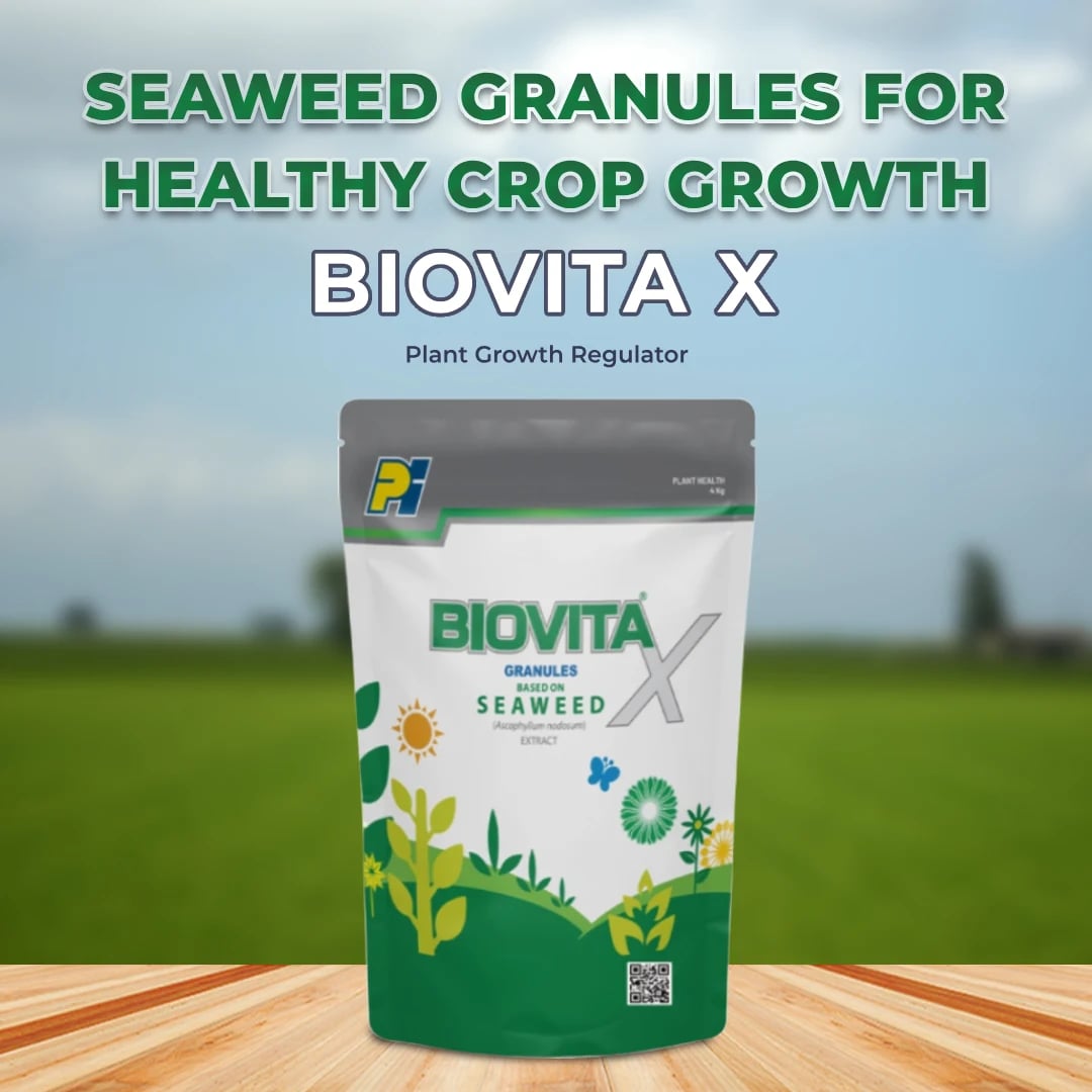 PI Biovita X Granules - Plant Growth Regulator