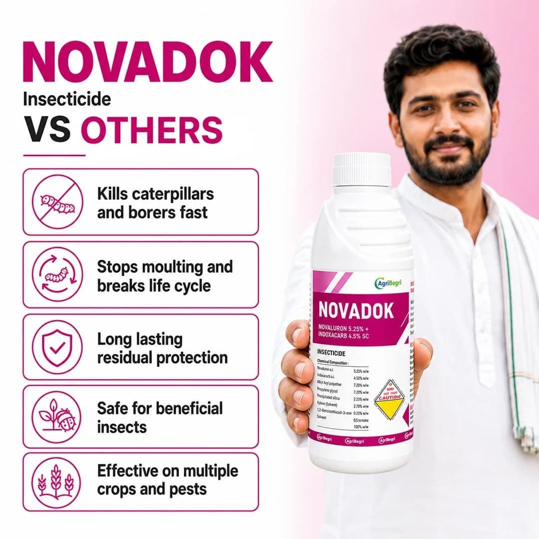 Novadok Insecticide - Novaluron 5.25% + Indoxacarb 4.5% SC - Image 7