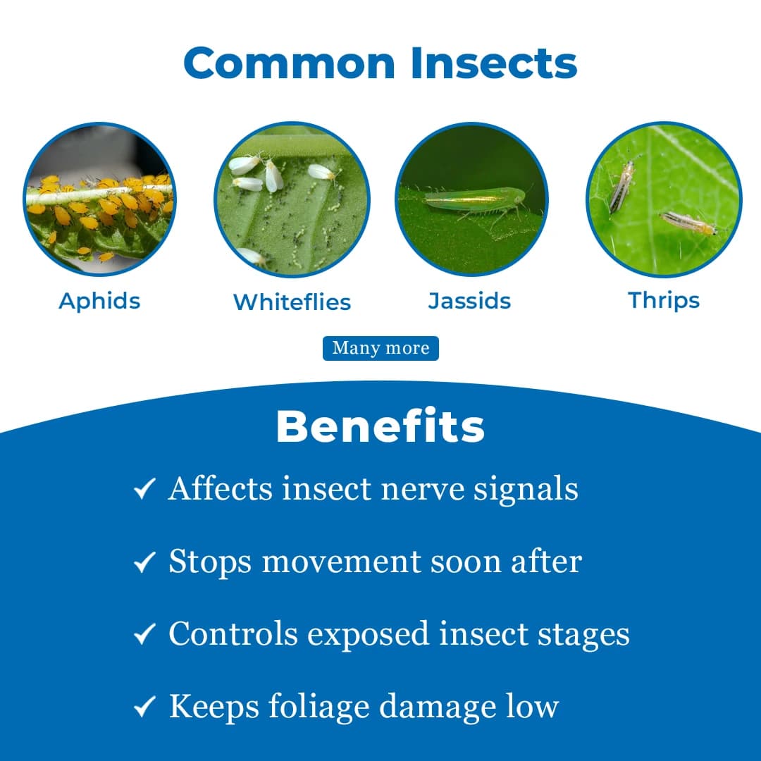 Exylon Luxor Insecticide - Lambda Cyhalothrin 4.9% CS - Image 3
