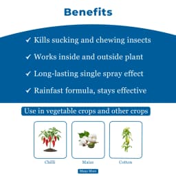 Adama Anolik Thiamethoxam 12.6% + Lambda Cyhalothrin 9.5% ZC Insecticide, Effective Control Against Sucking Pests 4