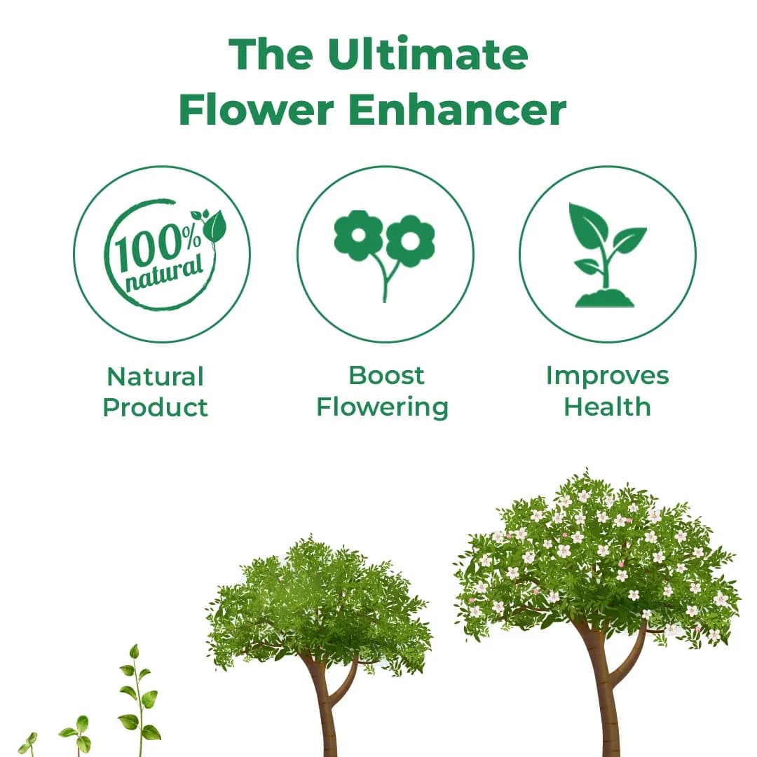 IMMUNO Flower Booster, Flower Stimulator, Boost Up The Immune System, Better Flower Enhancer. - Image 3
