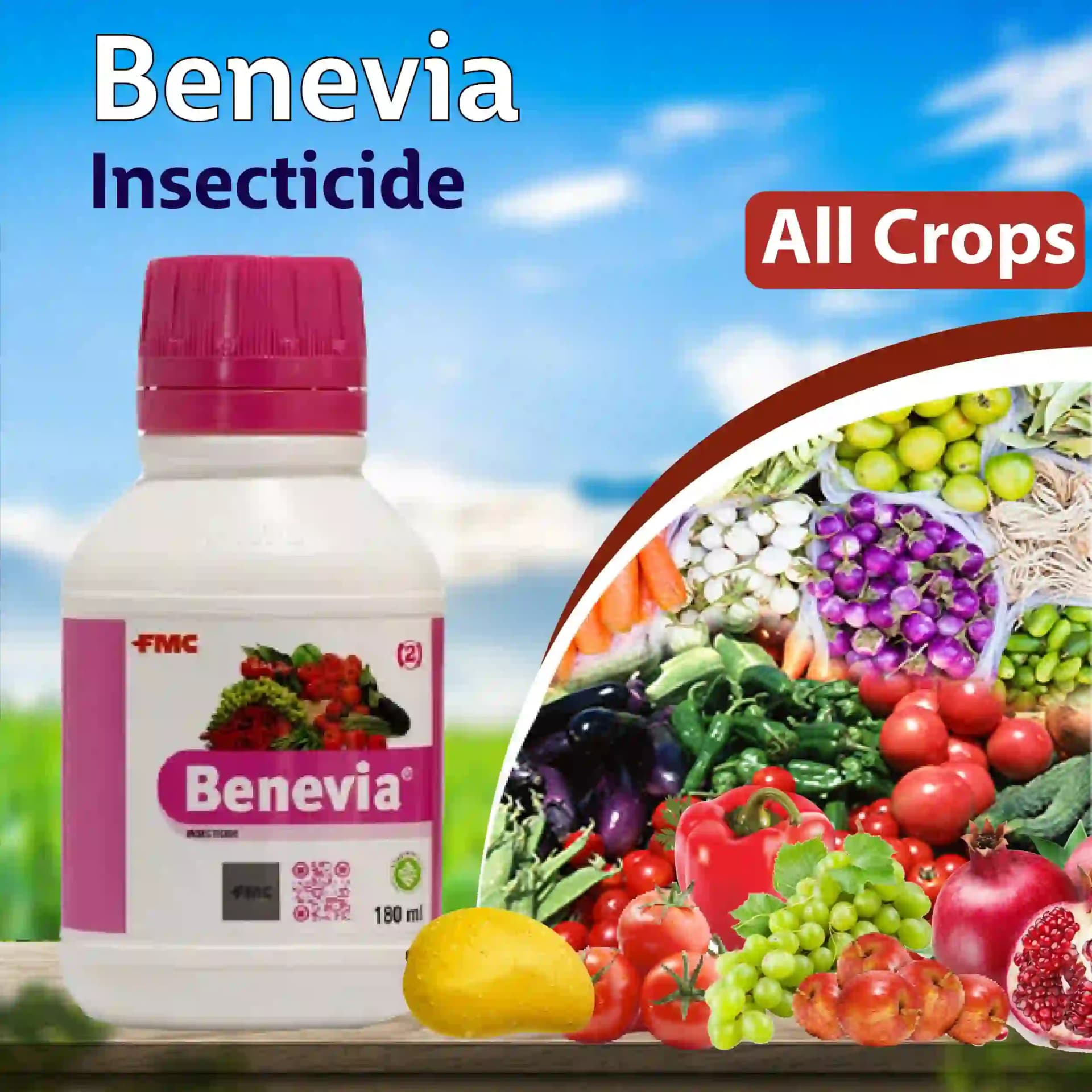 FMC Benevia Insecticide - Image 6