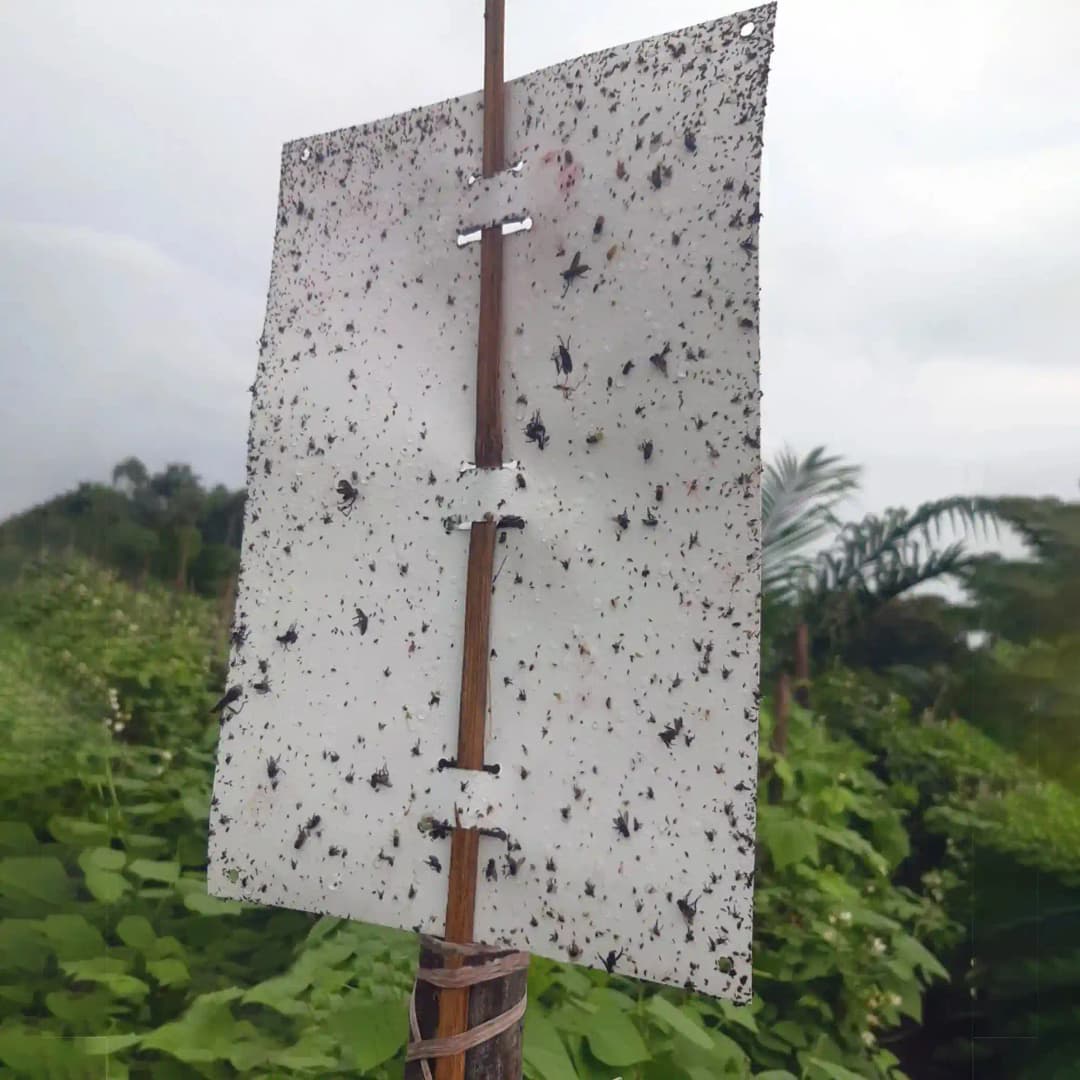 बैरिक्स मैजिक स्टिकर - सफेद शीट, न सूखने वाली, न फीकी पड़ने वाली, न टपकने वाली। - Image 3