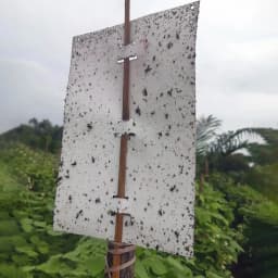 बैरिक्स मैजिक स्टिकर - सफेद शीट, न सूखने वाली, न फीकी पड़ने वाली, न टपकने वाली। 3