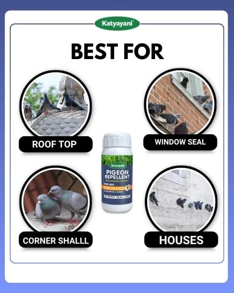 Katyayani Pigeon Repellent - Image 8