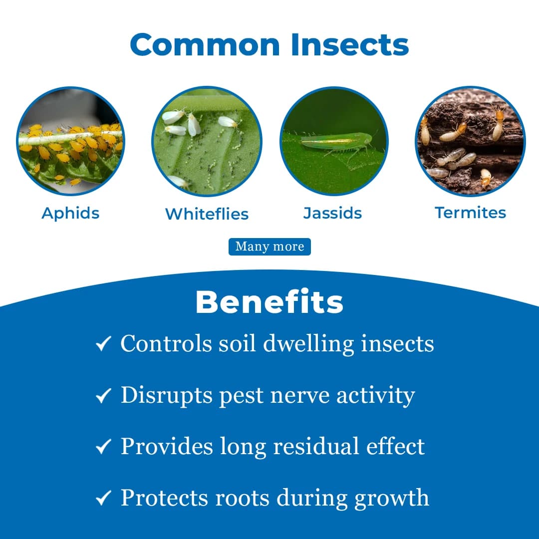 Exylon Falcon Insecticide - Fipronil 80% WG - Image 3