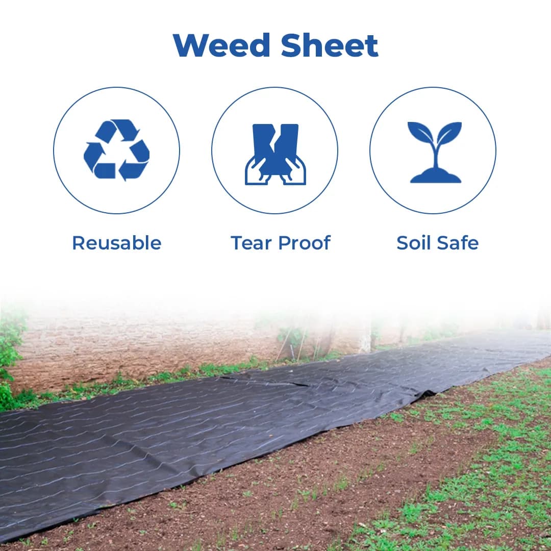 Siddhi Weed Control Mat 110 GSM - Image 3