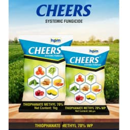 Hpm Cheers Thiophanate Methyl 70% WP Fungicide, Effective For Fungal Disease Control 2