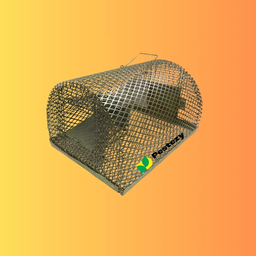 Pestezy Large Rat Or Mouse Trap Cage, Pinjara For Catching Big And Small Rats, Mice Ghoose Family - Image 4