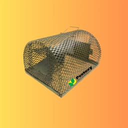 Pestezy Large Rat Or Mouse Trap Cage, Pinjara For Catching Big And Small Rats, Mice Ghoose Family 4