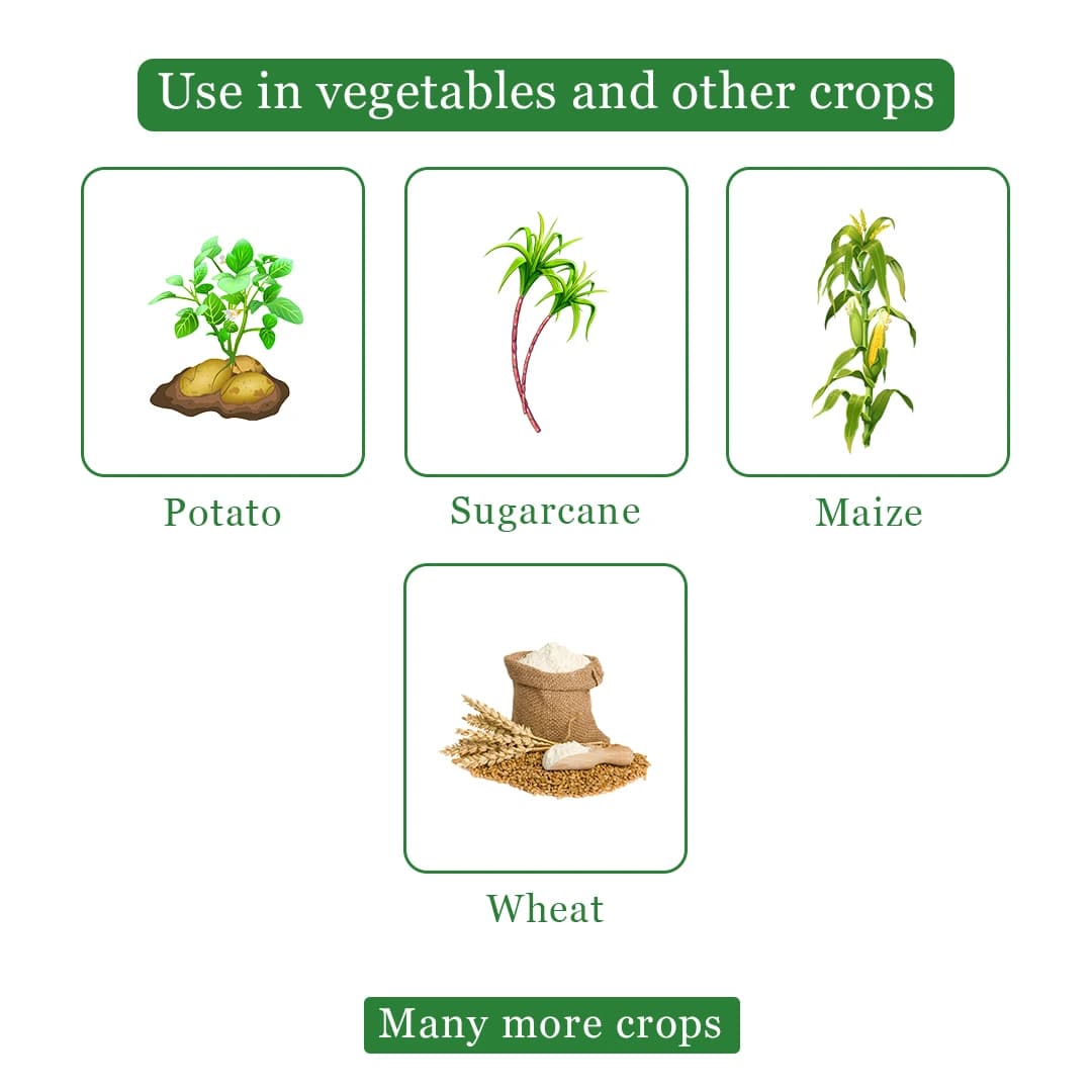 Adama 2,4-D Main Herbicide - Image 4