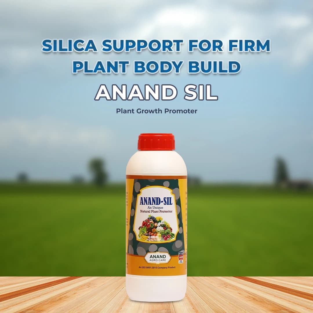 Anand Sil (Colloidal Silica) Plant Growth Promoter, Accelerates the Process of Photosynthesis, Enhances Nutrient Yield And Uptake - Image 2