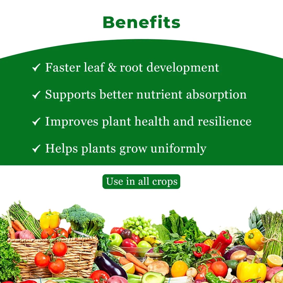 Anand Agro Growth Fast Fertilier - Image 4