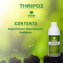 Utkarsh Thripoz, Natural Plants Extract, Against Thrips, Natural Plant Protector For Sucking Pests, Aphids And White Fly 5