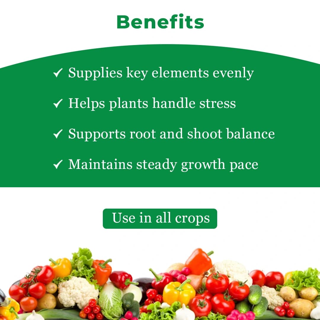 EBS NPK 00:00:50 - Potassium Sulphate Fertilizer - Image 4