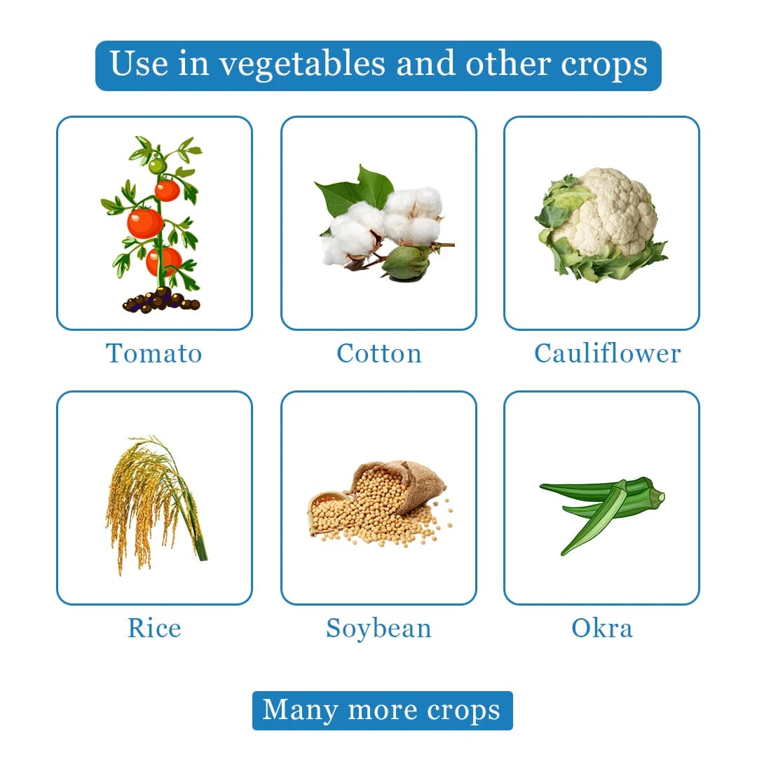 Bomba Pro - Imidacloprid 70% WG Insecticide, Essential For Control of Sucking Pests - Image 4