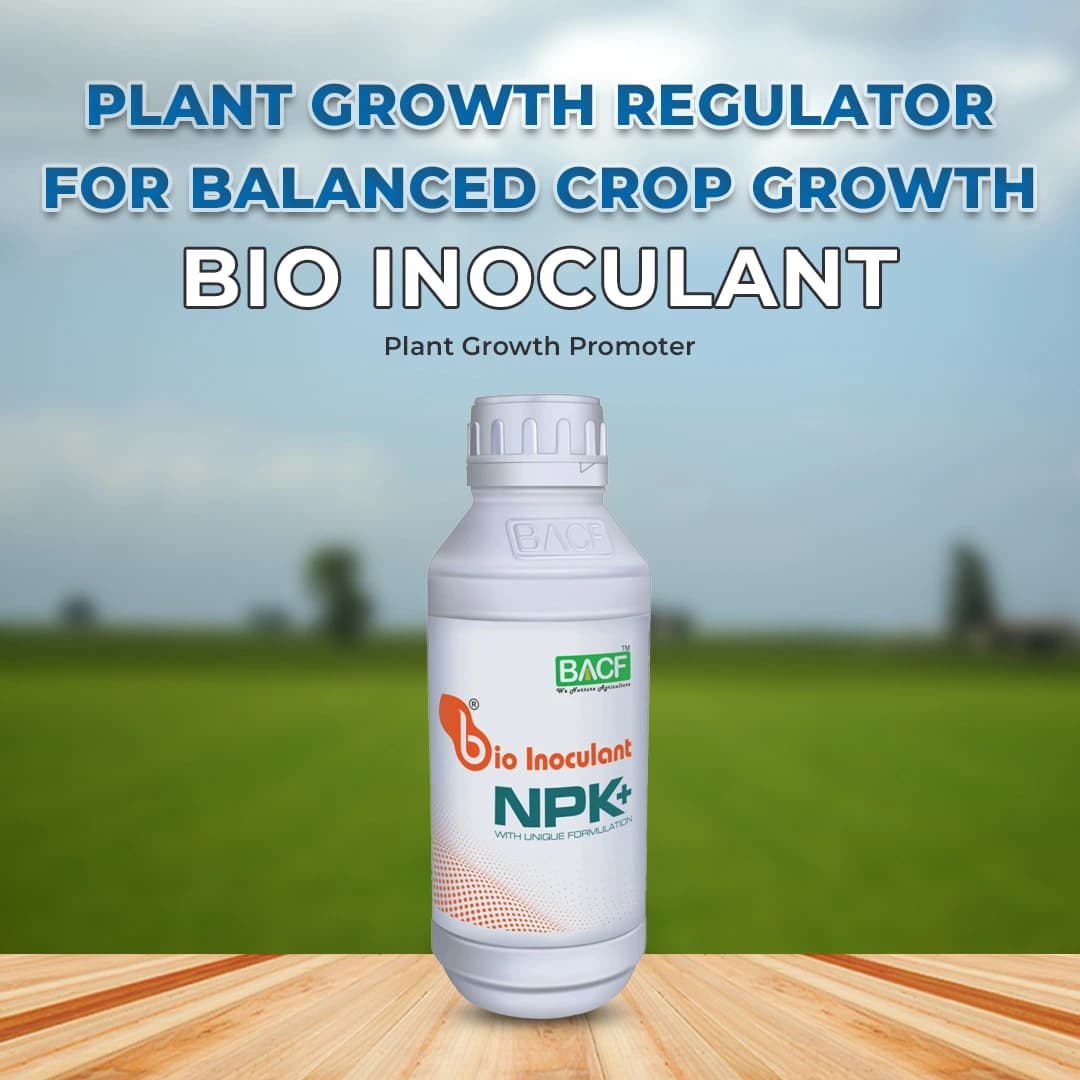 BACF Bio Inoculant NPK+ with NPK Bacteria, PGPR, Sea weed, Humic, Fermentation media with Contact and systemic action - Image 2