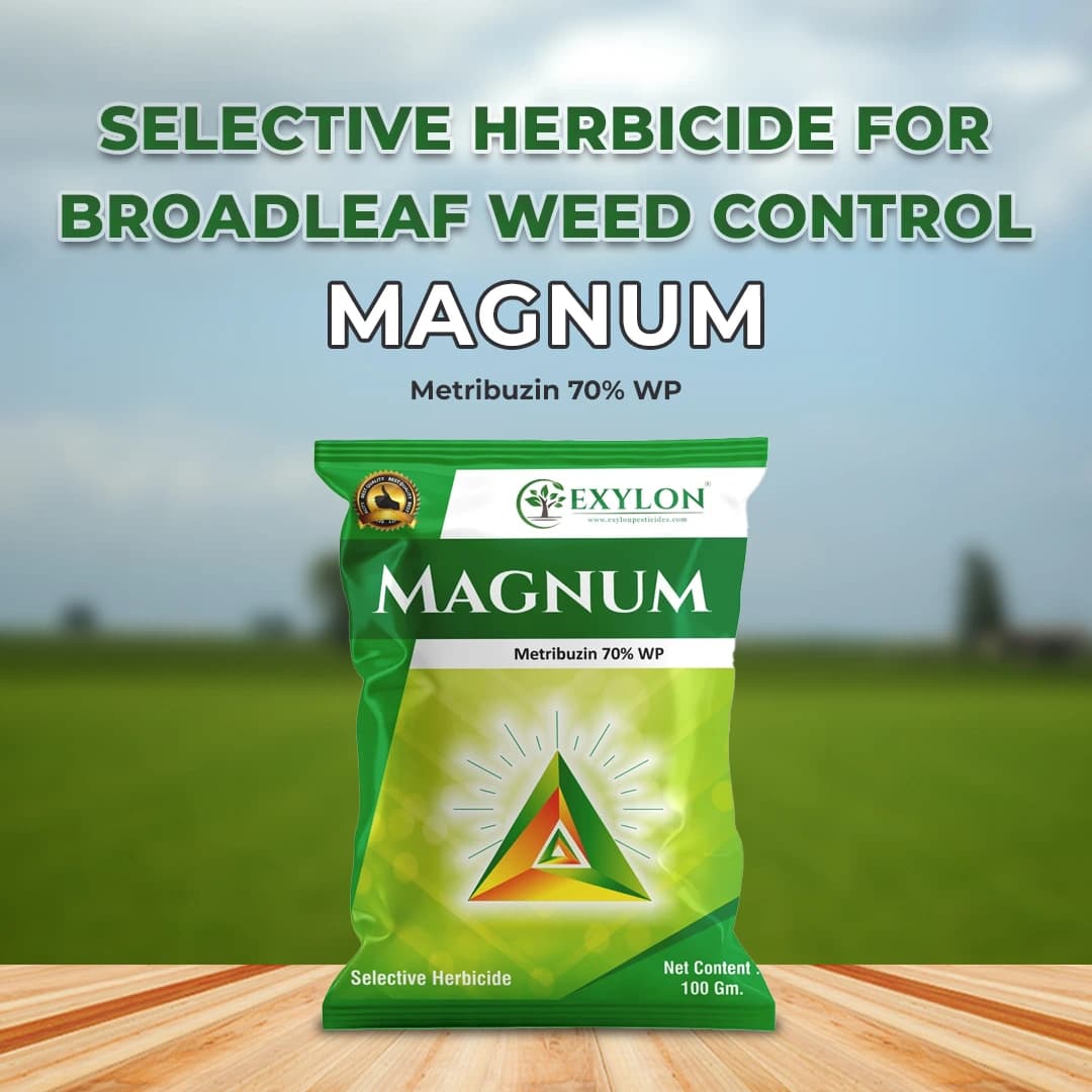 Exylon Magnum Herbicide - Metribuzin 70% WP - Image 2