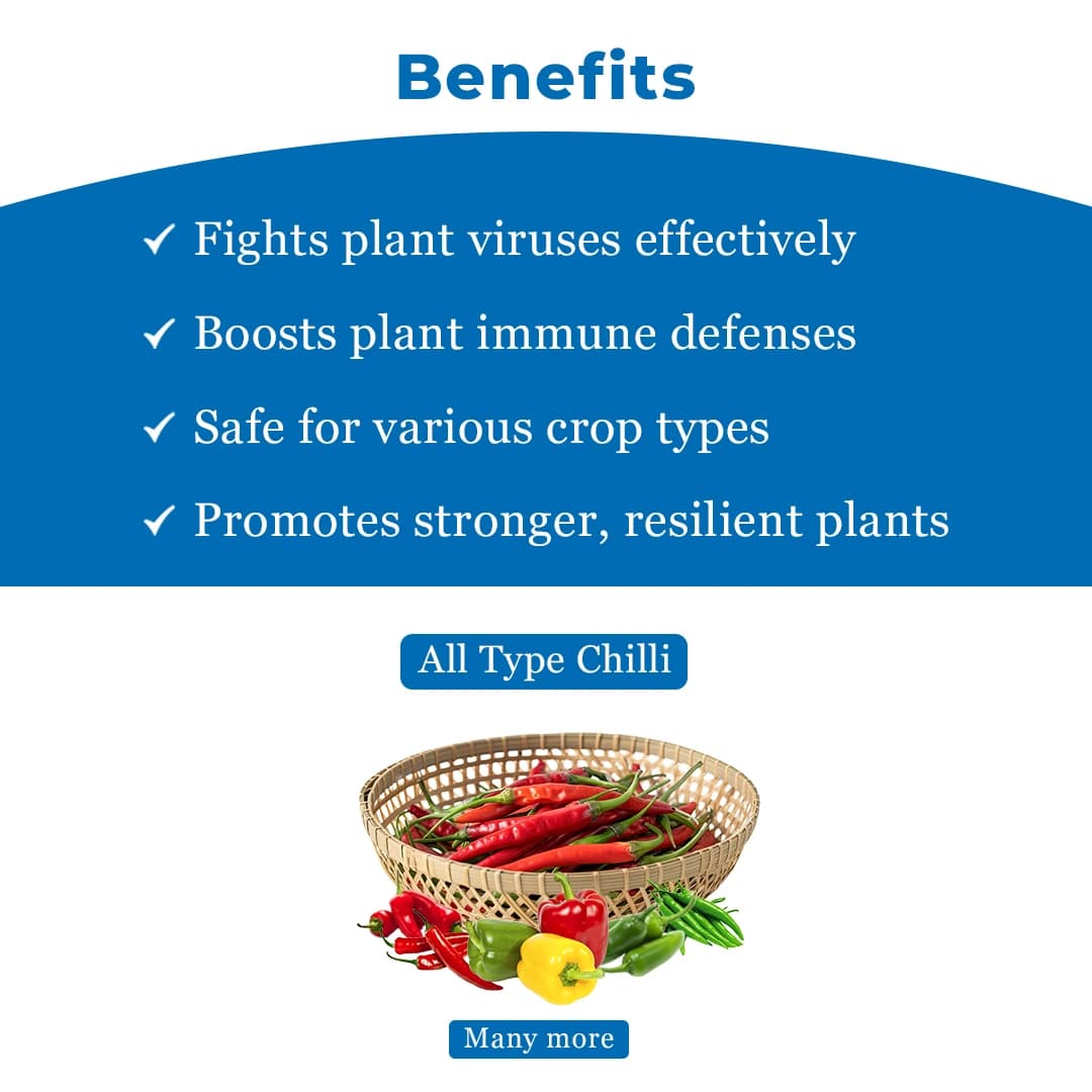 Geolife No-Virus Chilli Special, Liquid Fermented Organic Manure, Vriksha Ayurveda Inspired, Organic Fertilizer for Chilli, Improves Immunity & Yield, - Image 5