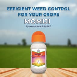 Bayer Momiji Pyroxasulfone 85% WG, Pre Emergence Herbicide, Excellent Crop Safety for Wheat. 2