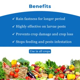 JU E-Mate Emamectin Benzoate 5% SG Insecticide, Contact And Stomach Action 4