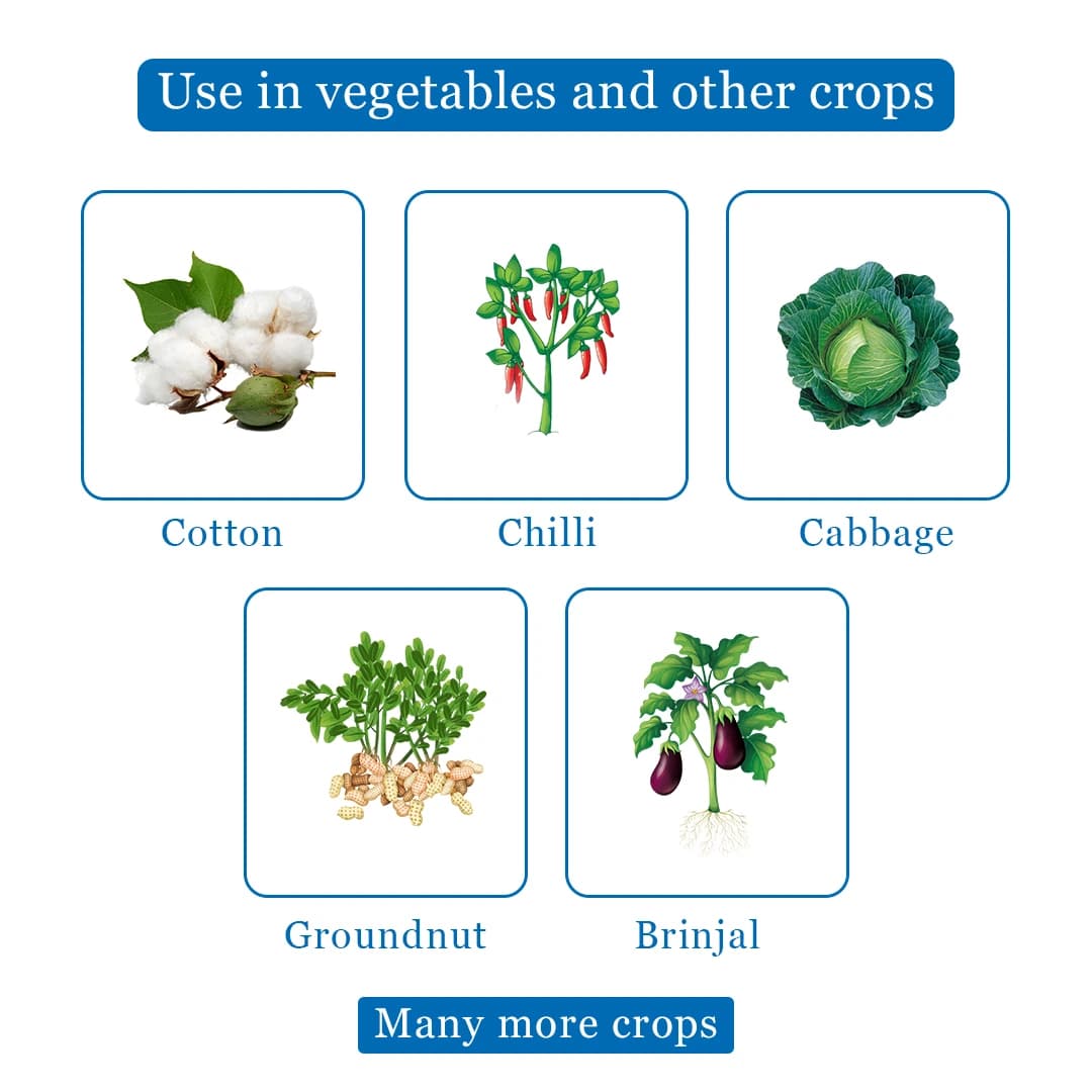 EBS Fifty Horeses Diafenthiuron 50% WP Board Spectrum Insecticide, Control Various Insect Pests and Mites - Image 4