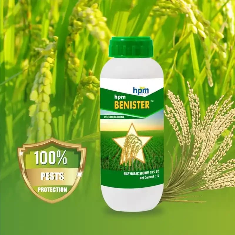 Hpm Benister Bispyribac Sodium 10% SC Selective, Systemic Post Emergence Herbicide - Image 3