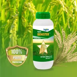 Hpm Benister Bispyribac Sodium 10% SC Selective, Systemic Post Emergence Herbicide 3