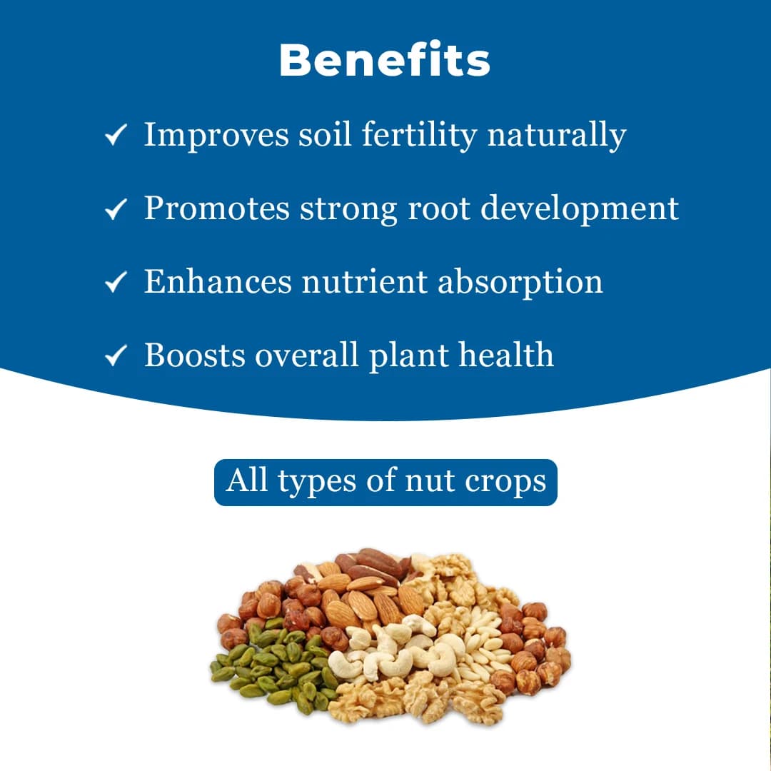 Dr. Soil Areca Intendend Use for Areca (Liquid Consortia) (ISO Certified) Areca special Liquid Fertilizer - Image 4
