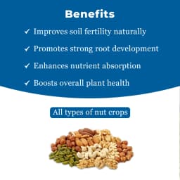 Dr. Soil Areca Intendend Use for Areca (Liquid Consortia) (ISO Certified) Areca special Liquid Fertilizer 4