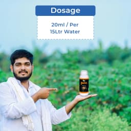 Beta - Bio and Eco-Friendly Remedy for Thrips and Mites, Useful for All Agricultural Crops 5