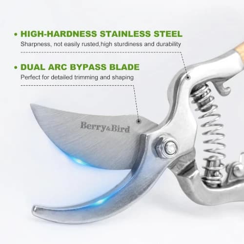 Stainless Steel Garden Scissors, Flower Cutter With Soft Grip Handle For Pruning, Trimming & Gardening - Image 5