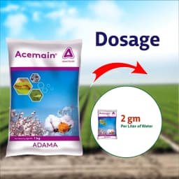 Adama Acemain Acephate 75% SP, For Effective Control Of Wide Range Of Chewing And Sucking Pest 8