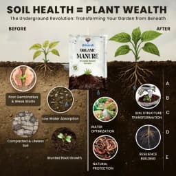 Utkarsh Organic Manure Natural Fertilizer, Promotes Plant Growth And Soil Health 5